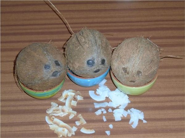 Kokosový orech