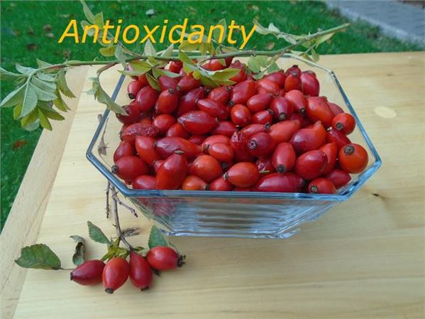 Antioxidanty