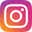 Allium - Instagram