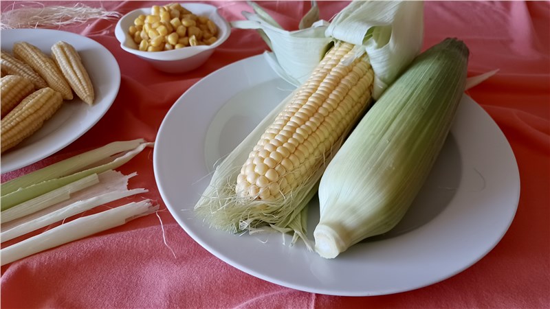kukurica | zelenina