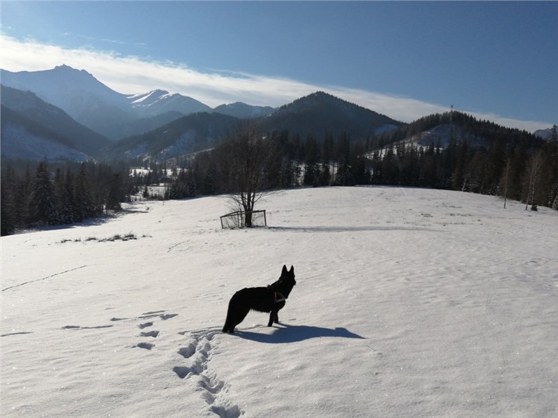 Tatranská Javorina Belianské Tatry