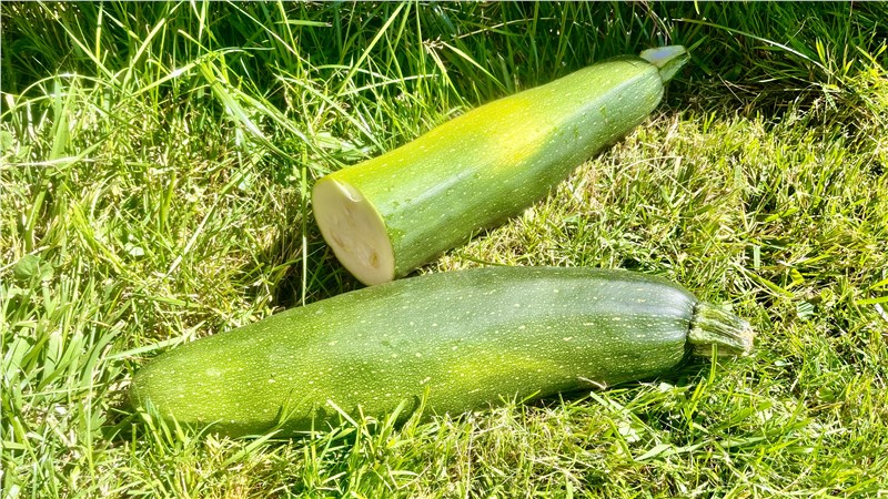 cuketa | cukety | cukina | zelenina