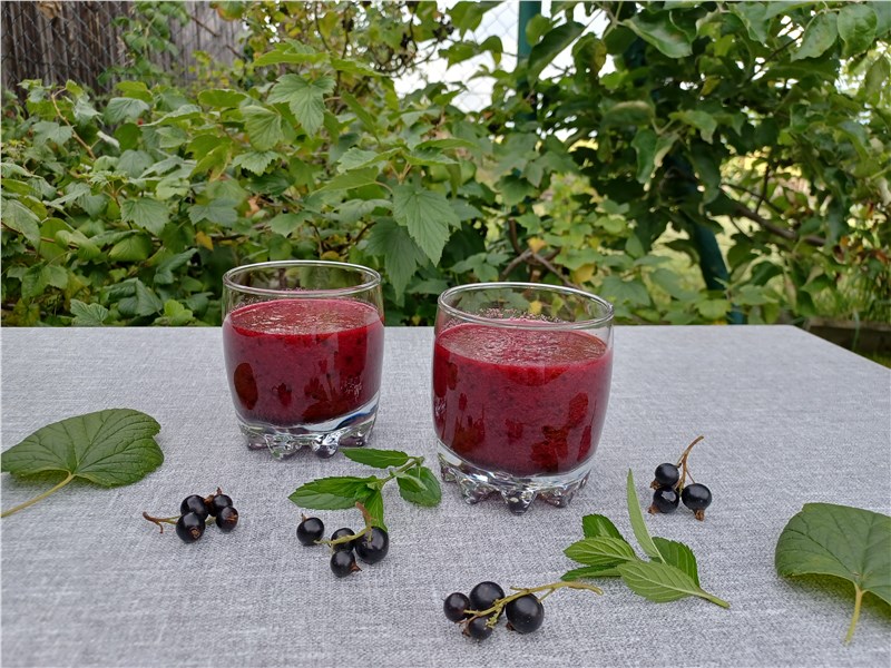 smoothie z čiernych ríbezlí