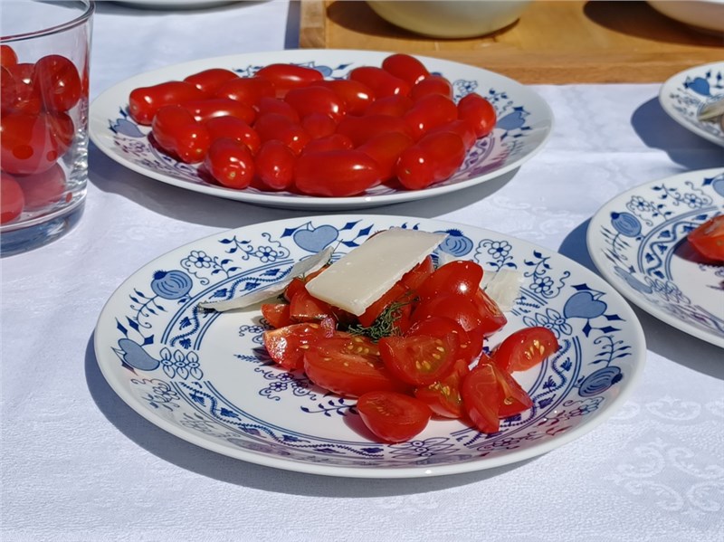 paradajkovy salat s kôprom