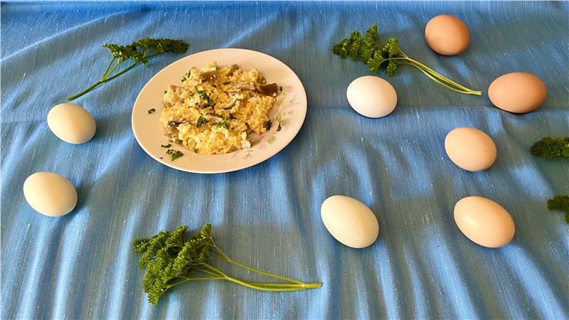 zdravé domáce vajíčka | zdrave domace vajicka | vajicka | kuracie vajicka | vajcia