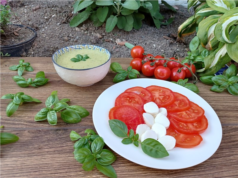 bazalka a capresse šalát