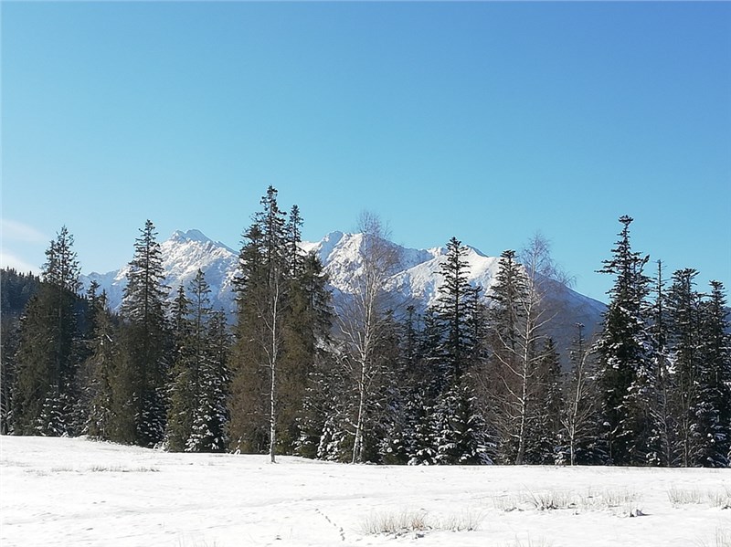 Tatranská Javorina Belianské Tatry