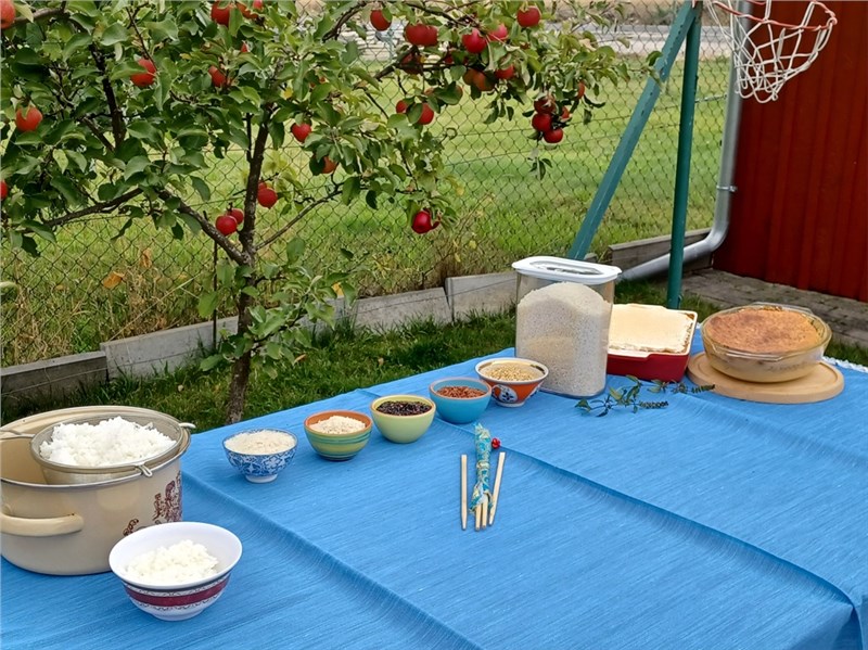 ryže