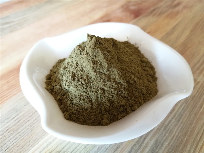 moringa karibska