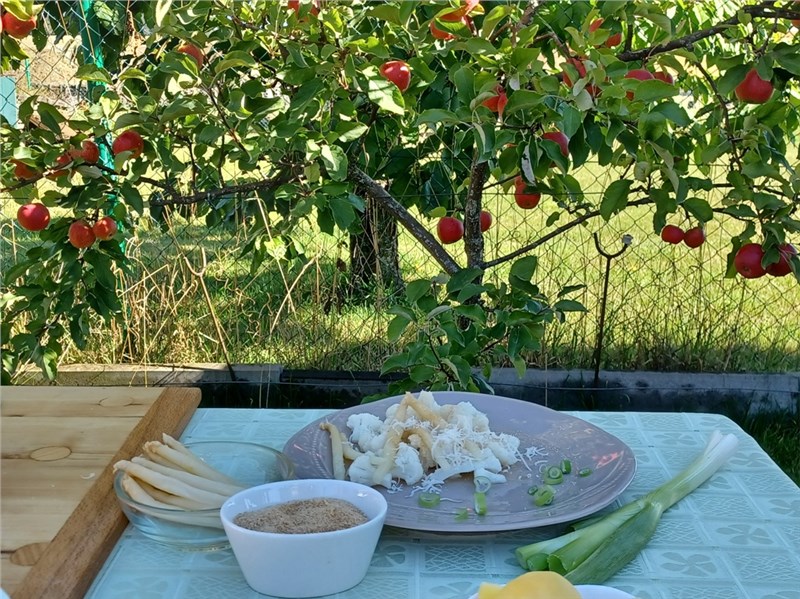 zeleninové recepty