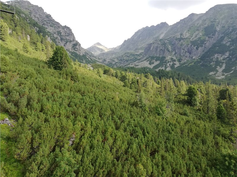 Predné solisko Tatry